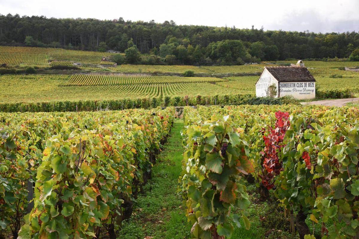 גברי-שמברטן Le Richebourg - Charmant T2 Cosy, Tout Confort מראה חיצוני תמונה