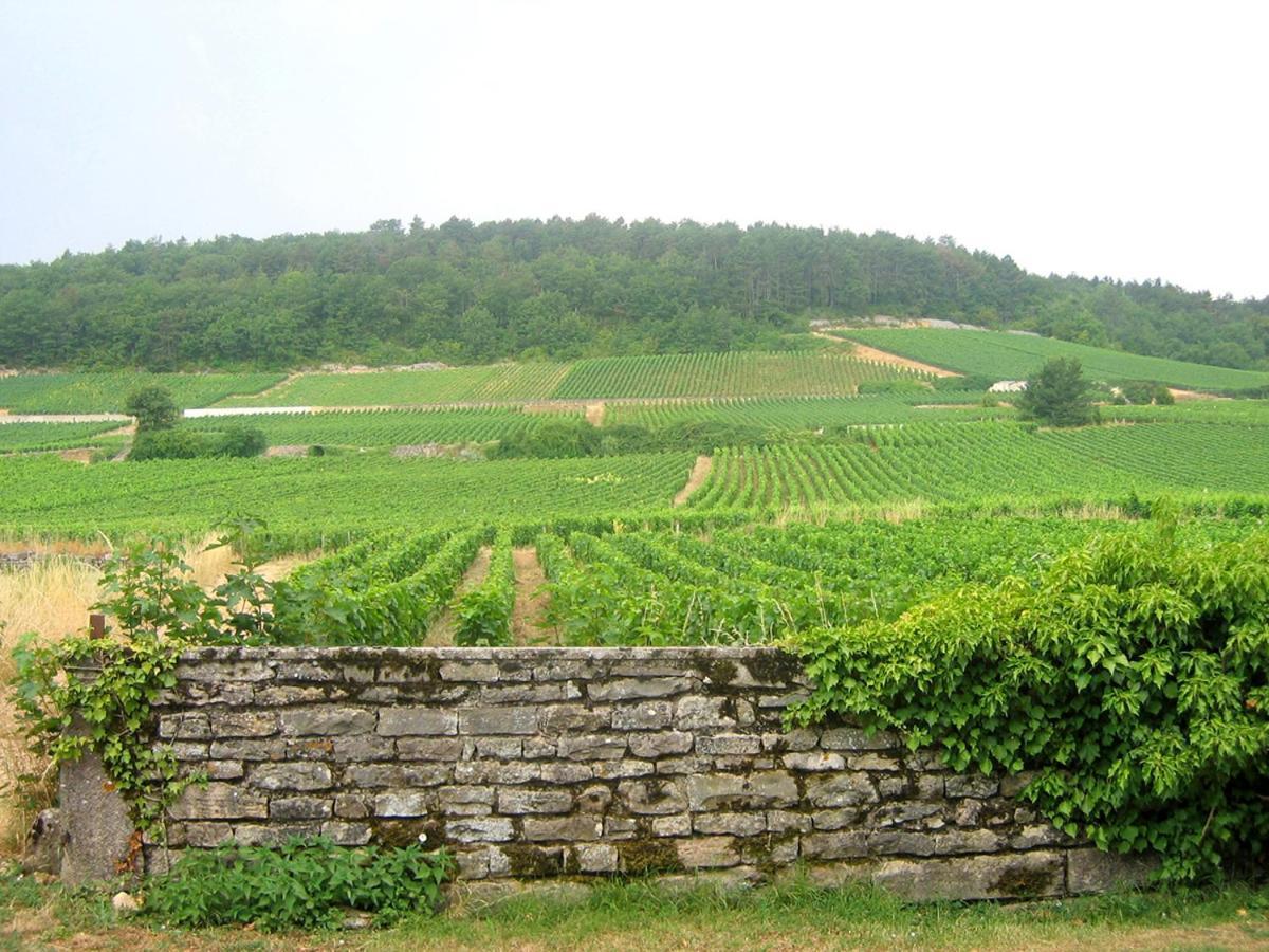 גברי-שמברטן Le Richebourg - Charmant T2 Cosy, Tout Confort מראה חיצוני תמונה