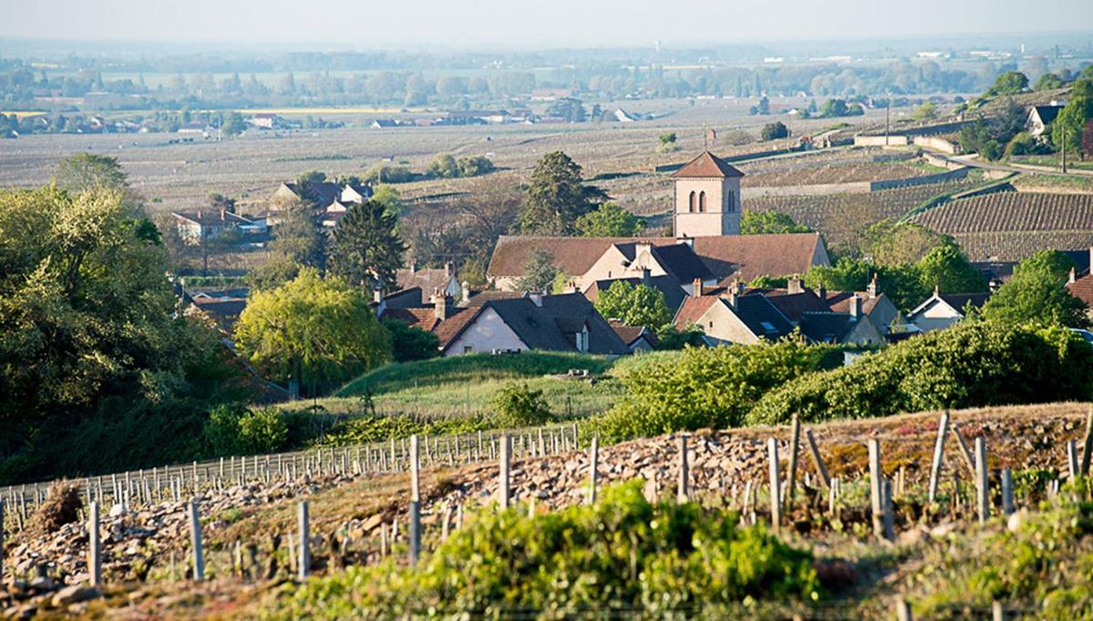 גברי-שמברטן Le Richebourg - Charmant T2 Cosy, Tout Confort מראה חיצוני תמונה